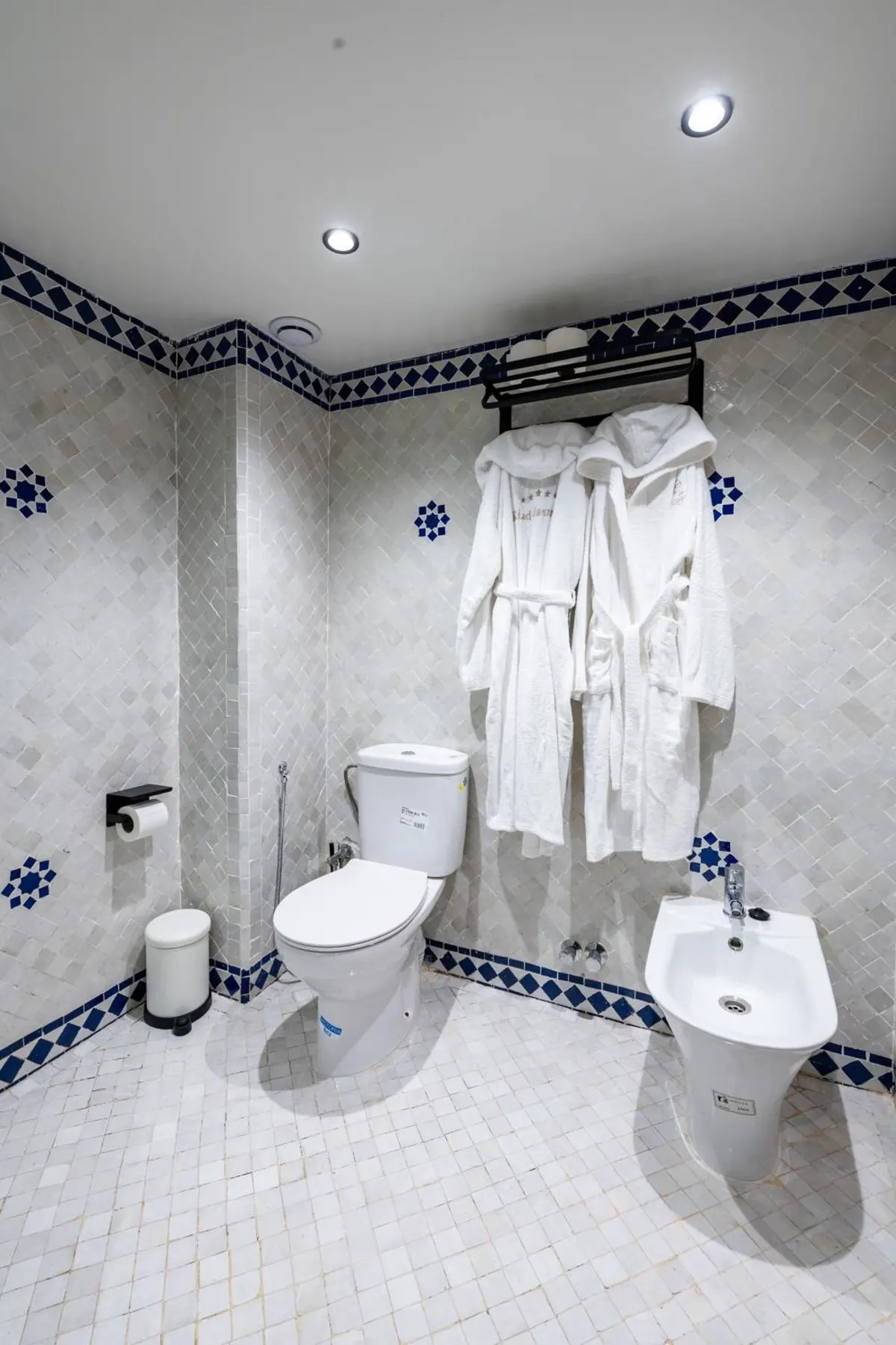 Bathroom with bidet and two bathrobes